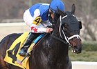 Carve Shows Oaklawn Affinity in Fifth Season Carve Shows Oaklawn Affinity in Fifth Season