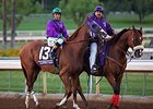 California Chrome May Miss Royal Ascot Start California Chrome May Miss Royal Ascot Start