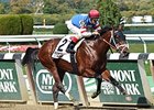 Ostrolenka won the Sleepy Holly Stakes for New York-breds last year at Belmont.
<br><a target="blank" href="http://photos.bloodhorse.com/AtTheRaces-1/At-the-Races-2014/i-p3ZJMbz">Order This Photo</a>