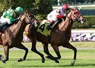 Hyper is the morning-line favorite in the Kentucky Turf Cup Stakes.<br><a target="blank" href="http://photos.bloodhorse.com/AtTheRaces-1/at-the-races-2013/27257665_QgCqdh#!i=2750249833&k=PQ4c2Gc">Order This Photo</a>