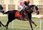 Rydilluc rolls home to win the Penn Mile. <br><a target="blank" href="http://photos.bloodhorse.com/AtTheRaces-1/at-the-races-2013/27257665_QgCqdh#!i=2548605660&k=JWrBDXx">Order This Photo</a>