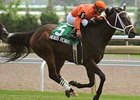 Heroes Reward carries highweight of 124 in the Jaipur Stakes.