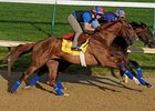 Adriano worked five furlongs at Churchill Downs April 27.