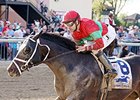 Protonico Carries High Weight in Ben Ali Protonico Carries High Weight in Ben Ali