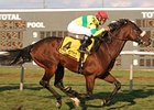 Violon Sacre tries Belmont Park for the first time in the Knickerbocker Handicap.