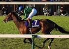 Just a Way wins the Tenno Sho.
<br><a target="blank" href="http://photos.bloodhorse.com/AtTheRaces-1/at-the-races-2013/27257665_QgCqdh#!i=2862625311&k=hXhqMJm">Order This Photo</a>