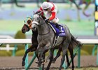 Danon Platina wins the Asahi Hai Futurity.
<br><a target="blank" href="http://photos.bloodhorse.com/AtTheRaces-1/At-the-Races-2014/i-v9Pf9v8">Order This Photo</a>