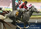 Smokey Fire wins the Highlander Stakes.