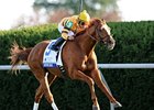 Wise Dan has won three straight graded stakes including the Shadwell Turf Mile.<br><a target="blank" href="http://photos.bloodhorse.com/AtTheRaces-1/at-the-races-2012/22274956_jFd5jM#!i=2134788413&k=Ggh9WCp">Order This Photo</a>
