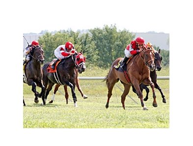Rahystrada won last year's Kentucky Turf Cup in by 3 3/4 lengths.