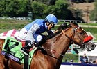 Goldencents won the 2013 Breeders' Cup Dirt Mile. <br><a target="blank" href="http://photos.bloodhorse.com/BreedersCup/2013-Breeders-Cup/Dirt-Mile/33149801_zx584H#!i=2876859392&k=BWFGXHZ">Order This Photo</a>