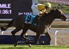 Hollinger faces 10 in the Tropical Turf Handicap.