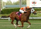 Multiple grade I winner Presious Passion is by far the most accomplished runner in the Red Smith field.<br><a target="blank" href="http://www.bloodhorse.com/horse-racing/photo-store?ref=http%3A%2F%2Fpictopia.com%2Fperl%2Fgal%3Fprovider_id%3D368%26ptp_photo_id%3D4084128%26ref%3Dstory">Order This Photo</a>