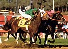 Wild Again winning the first Breeders' Cup Classic