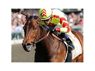 Turbulent Descent in the Beaumont Stakes.
<br><a target="blank" href="http://www.bloodhorse.com/horse-racing/photo-store?ref=http%3A%2F%2Fpictopia.com%2Fperl%2Fgal%3Fprovider_id%3D368%26ptp_photo_id%3D9494279%26ref%3Dstory">Order This Photo</a>