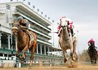 Brushed by a Star gets by Joyful Victory to win the Chilukki.