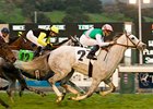 Jibboom powers home to take the Monrovia under Garrett Gomez.<br><a target="blank" href="http://www.bloodhorse.com/horse-racing/photo-store?ref=http%3A%2F%2Fpictopia.com%2Fperl%2Fgal%3Fprovider_id%3D368%26ptp_photo_id%3D7301880%26ref%3Dstory">Order This Photo</a>