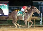 Take It Like a Man comes on late to win the Researcher Stakes.