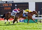 Free Fighter outfought favorite Brass Hat through a long stretch battle to produce a half-length victory in the Stars and Stripes Turf Handicap at Arlington Park.