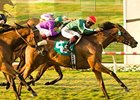 Vacare tops a full field of 12 fillies and mares in the Dahlia Handicap.<br><a target="blank" href="http://www.bloodhorse.com/horse-racing/photo-store?ref=http%3A%2F%2Fpictopia.com%2Fperl%2Fgal%3Fprovider_id%3D368%26ptp_photo_id%3D5728251%26ref%3Dstory">Order This Photo</a>
