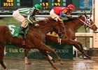 Stakes Winner Anything But Quiet Retired Stakes Winner Anything But Quiet Retired