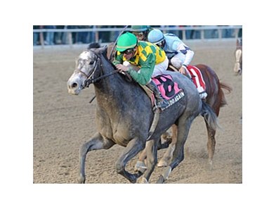 O'Prado Again comes running to win the Remsen at Aqueduct.<br><a target="blank" href="http://www.bloodhorse.com/horse-racing/photo-store?ref=http%3A%2F%2Fpictopia.com%2Fperl%2Fgal%3Fprovider_id%3D368%26ptp_photo_id%3D9754153%26ref%3Dstory">Order This Photo</a>