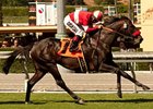 Acclamation