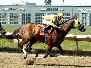 Rapid Redux Posts 16th Straight Victory Rapid Redux Posts 16th Straight Victory