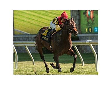 Silver Max makes his 4-year-old debut in the Appleton Stakes at Gulfstream Park.