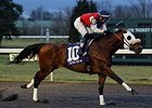 Cyber Secret skips to a track record in the Prairie Bayou Stakes.
