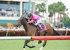 Bad Debt
<br><a target="blank" href="http://photos.bloodhorse.com/AtTheRaces-1/at-the-races-2013/27257665_QgCqdh#!i=2894744283&k=4GqwJ6f">Order This Photo</a>