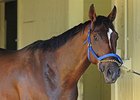 Social Inclusion<br><a target="blank" href="http://photos.bloodhorse.com/TripleCrown/2014-Triple-Crown/Belmont-Stakes-146/i-qVS679m">Order This Photo</a>