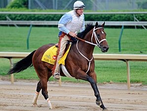 Workout Will Determine Mark Valeski's Status Workout Will Determine Mark Valeski's Status