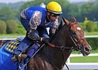 Paynter to Rehab at Fair Hill Equine Therapy Paynter to Rehab at Fair Hill Equine Therapy