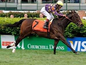 Bayou's Lassie Wires Distaff Turf Mile Bayou's Lassie Wires Distaff Turf Mile