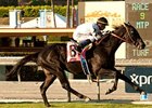 Slim Shadey wins the John Henry Turf Championship.