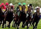 Never Retreat, Green Cap, wins the Dance Smartly Stakes.