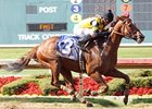 Awesome Gem wins the Lone Star Handicap.