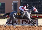 Zia Park Schedules 33 Stakes for 2015 Meet Zia Park Schedules 33 Stakes for 2015 Meet