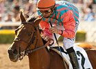 Rumor has won or placed in 11 of 14 starts.