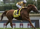 Wise Dan
