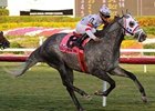 Kip Deville bests the Gulfstream Park Handicap field in his 2009 debut. <br><a target="blank" href="http://www.bloodhorse.com/horse-racing/photo-store?ref=http%3A%2F%2Fpictopia.com%2Fperl%2Fgal%3Fprovider_id%3D368%26ptp_photo_id%3D7618319%0D%0A%26ref%3Dstory">Order This Photo</a>