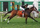 Optimizer faces nine in the Mervin H. Muniz Jr. Memorial Handicap.