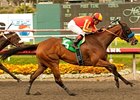 Irish Gypsy wins the Desert Storm Handicap.
<br><a target="blank" href="http://www.bloodhorse.com/horse-racing/photo-store?ref=http%3A%2F%2Fpictopia.com%2Fperl%2Fgal%3Fprovider_id%3D368%26ptp_photo_id%3D9569921%26ref%3Dstory">Order This Photo</a>