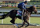Merit Man
<br><a target="blank" href="http://photos.bloodhorse.com/BreedersCup/2012-Breeders-Cup/Works/26130247_gxH6nS#!i=2182616250&k=PKm8HWJ">Order This Photo</a>
