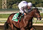 Purple Egg will start for the first time since April in the Gallant Bob Stakes.