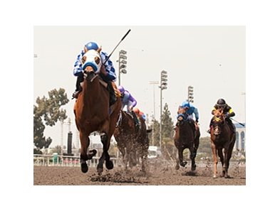 Betfair Hollywood Park