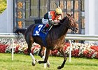 Marketing Mix is in control in the Pucker Stakes at Arlington Park.