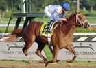 Dublin, the 2-year-old son of Afleet Alex, posted a two-length win in the Hopeful Stakes at Saratoga.<br><a target="blank" href="http://www.bloodhorse.com/horse-racing/photo-store?ref=http%3A%2F%2Fpictopia.com%2Fperl%2Fgal%3Fprovider_id%3D368%26ptp_photo_id%3D8461713%26ref%3Dstory">Order This Photo</a>