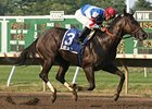 Dearly Precious winner Beyondallboundarys takes on 9 in the Charles Town Oaks.